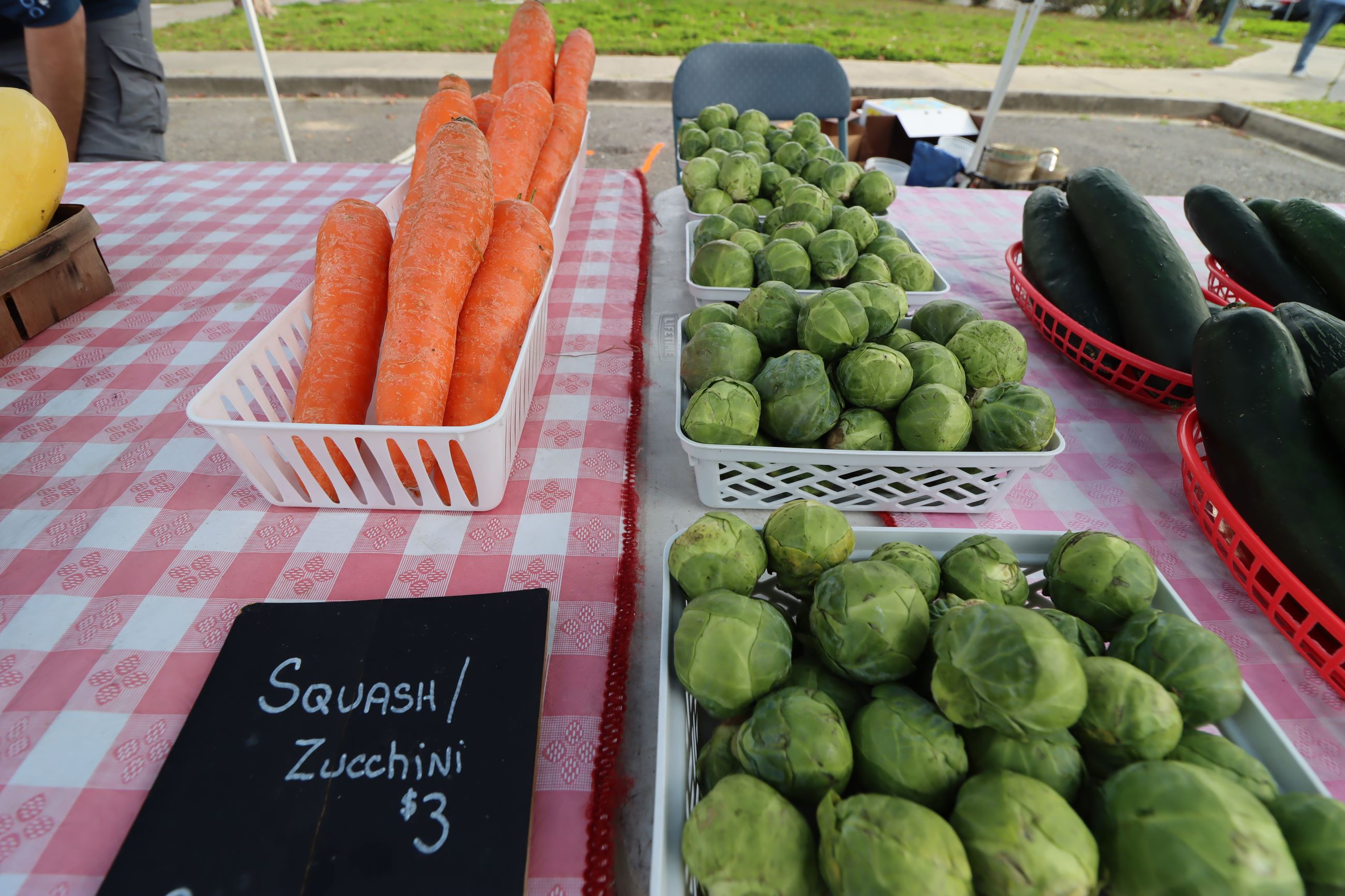 Baskets of carrots, brussel sprouts, and zucchinis, sitting on a checkered red picnic table