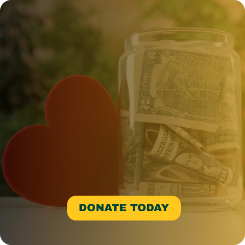 Heart and jar of money icon with text ‘Donate Today’ – link to make a donation to the Kenner Food Ba